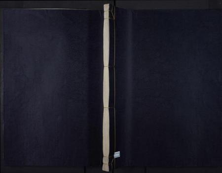 江西胡氏族谱-贵溪胡氏族谱.pdf电子版