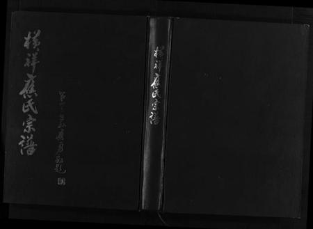 浙江应氏族谱-横祥应氏宗谱 [2卷].pdf电子版插图1