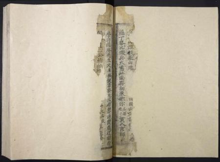 江西胡氏族谱-贵溪胡氏族谱.pdf电子版插图4