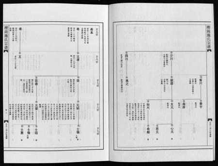 浙江施氏族谱-柽岗施氏宗谱 [残卷].pdf电子版插图4