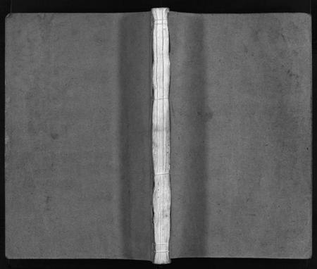 浙江苏氏族谱-武功苏氏宗谱 [不分卷].pdf电子版插图1