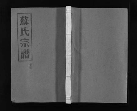 浙江苏氏族谱-武功郡苏氏宗谱 [4卷].pdf电子版插图1