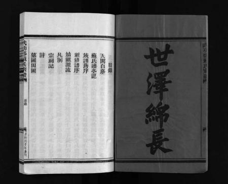 浙江苏氏族谱-武功郡苏氏宗谱 [4卷].pdf电子版插图3