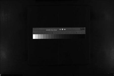 浙江苏氏族谱-武功郡苏氏宗谱 [不分卷].pdf电子版