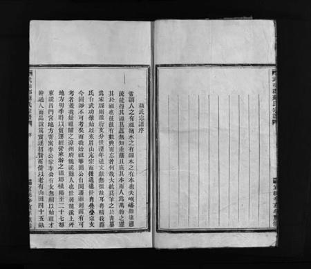 浙江苏氏族谱-武功郡苏氏宗谱 [不分卷].pdf电子版插图4