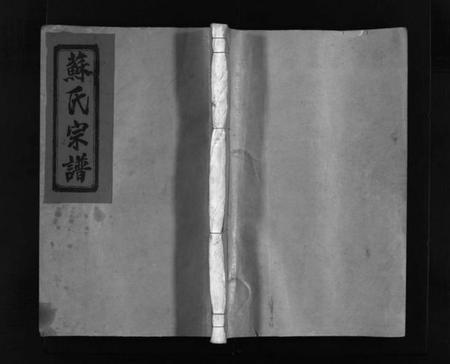 浙江苏氏族谱-武功郡苏氏宗谱 [不分卷].pdf电子版插图1