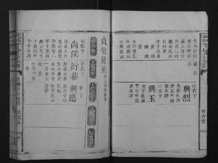 浙江曾氏族谱-武城曾氏重修族谱[不分卷].pdf电子版插图4