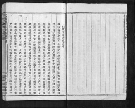 浙江徐氏族谱-武义履坦徐氏宗谱[不分卷].pdf电子版插图4