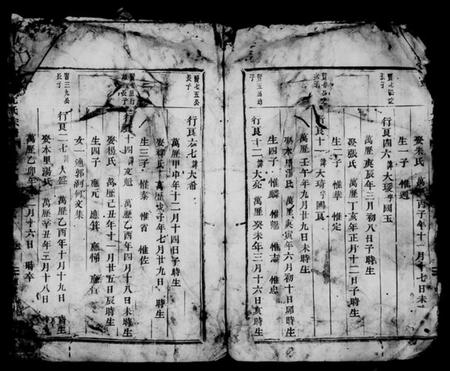 浙江沈氏族谱-武义沈氏宗谱 [残卷].pdf电子版插图4
