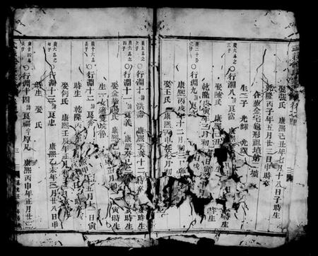 浙江沈氏族谱-武义沈氏宗谱 [残卷].pdf电子版插图4