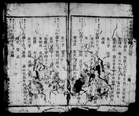浙江沈氏族谱-武义沈氏宗谱 [残卷].pdf电子版插图5