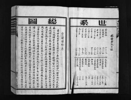 浙江赵氏族谱-水坑赵氏宗谱 [不分卷].pdf电子版插图3