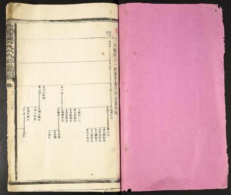 江西许氏族谱-石城谭溪许氏八九联修族谱.pdf电子版插图1