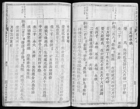 浙江成氏族谱-永康上谷郡成氏宗谱 [8卷].pdf电子版插图5