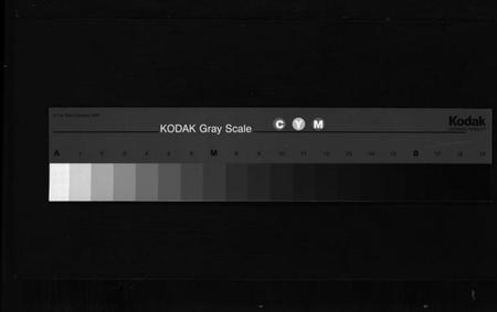 浙江梅氏族谱-永康梅氏宗谱 [4卷].pdf电子版