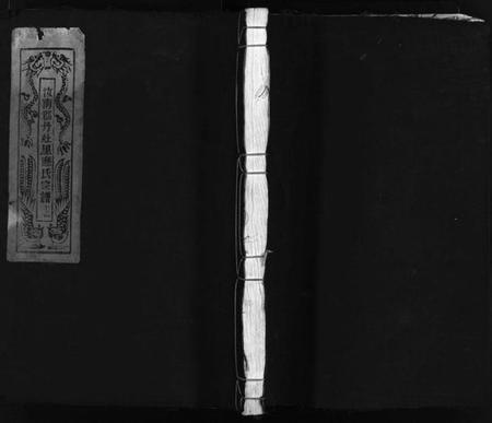 浙江应氏族谱-汝南郡丹灶里应氏宗谱 [2卷].pdf电子版插图1