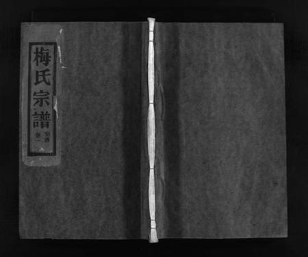 浙江梅氏族谱-汝南郡梅氏宗谱 [2卷].pdf电子版插图1