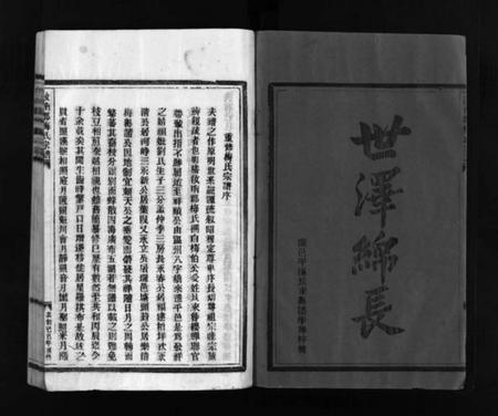 浙江梅氏族谱-汝南郡梅氏宗谱 [2卷].pdf电子版插图3