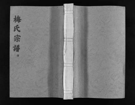 浙江梅氏族谱-汝南郡梅氏宗谱 [2卷].pdf电子版插图1