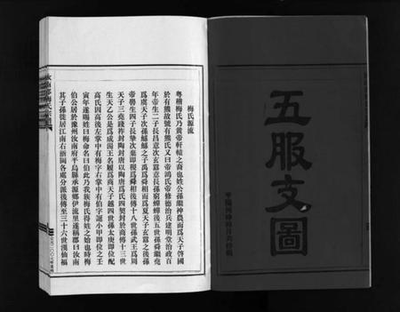 浙江梅氏族谱-汝南郡梅氏宗谱 [2卷].pdf电子版插图3