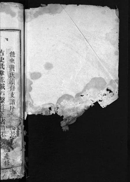 浙江黄氏族谱-江夏黄氏宗谱 [4卷].pdf电子版插图2