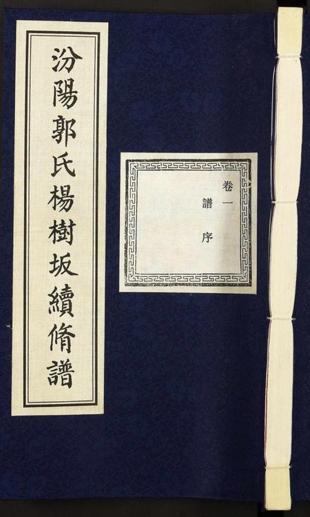 浙江郭氏族谱-汾阳郭氏杨树坂宗谱.pdf电子版插图