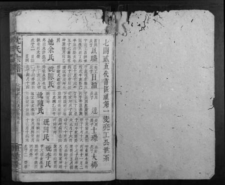 浙江沈氏族谱-沈氏宗谱.pdf电子版插图1