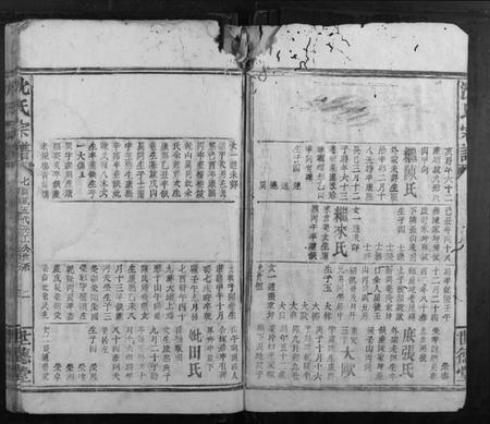 浙江沈氏族谱-沈氏宗谱.pdf电子版插图2