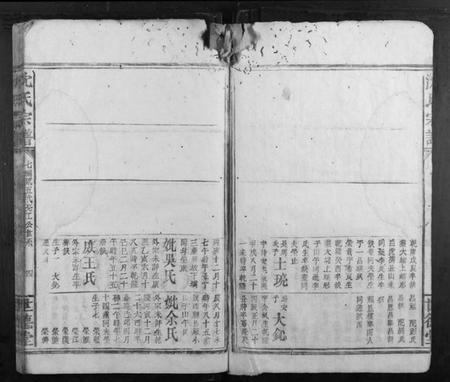 浙江沈氏族谱-沈氏宗谱.pdf电子版插图4