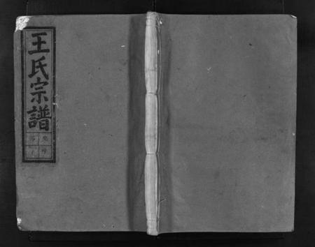 浙江王氏族谱-沙溪王氏宗谱 [6卷].pdf电子版插图1