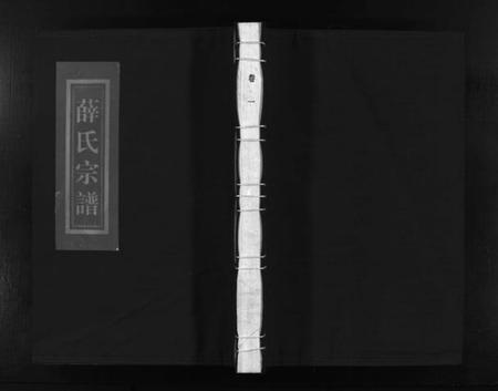 浙江薛氏族谱-河东薛氏宗谱 [10卷].pdf电子版插图1