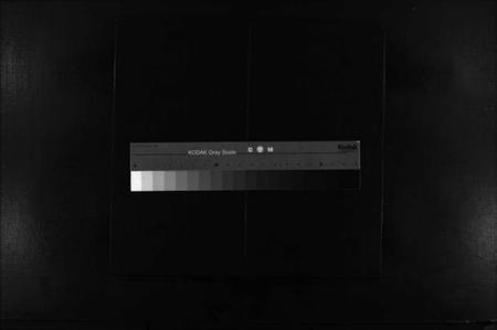 浙江薛氏族谱-河东薛氏宗谱 [4卷].pdf电子版