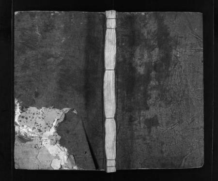 浙江章氏族谱-河间章氏宗谱 [不分卷].pdf电子版插图1