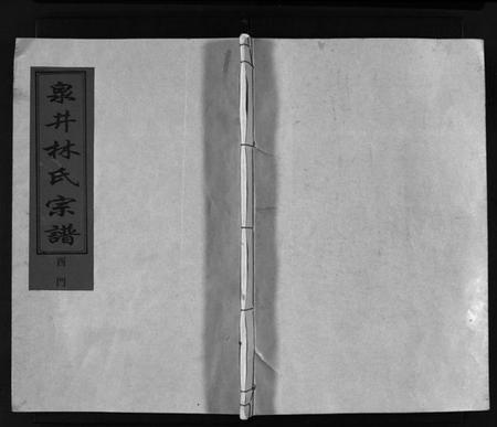 浙江林氏族谱-泉井林氏宗谱 [1卷].pdf电子版插图1