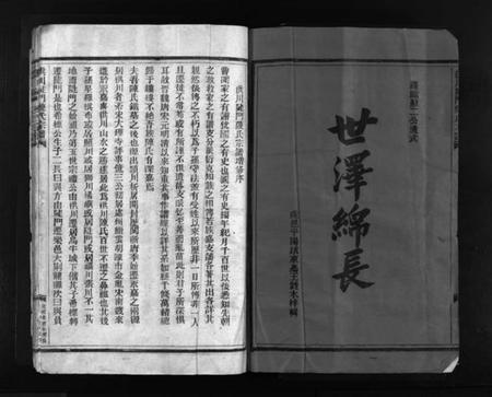浙江陈氏族谱-洪川陡门陈氏宗谱 [不分卷].pdf电子版插图1