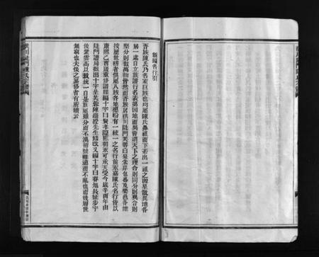 浙江陈氏族谱-洪川陡门陈氏宗谱 [不分卷].pdf电子版插图4