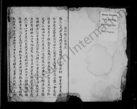 浙江陈氏族谱-洪川陈氏族谱.pdf电子版插图1