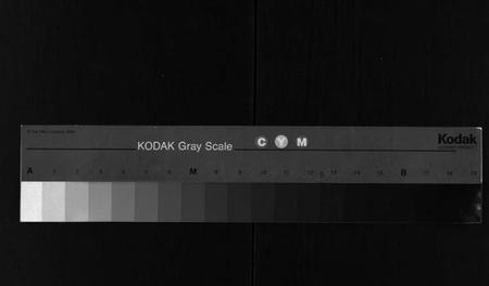 浙江马氏族谱-浙南闽北马氏谱首通志.pdf电子版