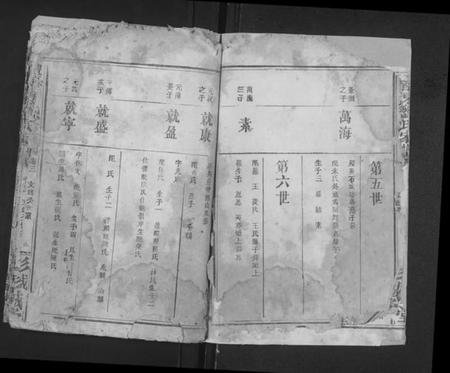 湖南刘氏族谱-醴东刘氏家谱 [4卷].pdf电子版插图3