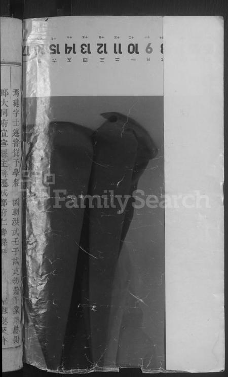 浙江楼氏族谱-浦阳文溪楼氏宗谱 [16卷].pdf电子版插图2