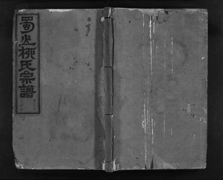 浙江柳氏族谱-浦阳蜀山柳氏宗谱 [17卷].pdf电子版插图1