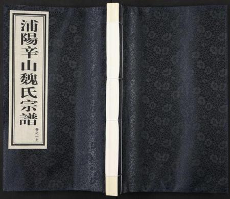 浙江魏氏族谱-浦阳辛山魏氏宗谱 [5卷].pdf电子版插图