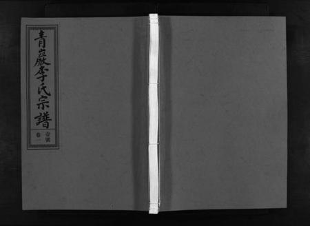 浙江李氏族谱-浦阳青岩李氏宗谱 [5卷].pdf电子版插图1