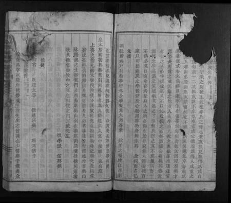 浙江陈氏族谱-浦阳龙城陈氏宗谱.pdf电子版插图2