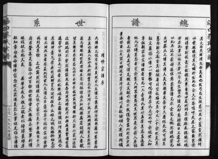 浙江蔡氏族谱-海口蔡氏宗谱 [13卷].pdf电子版插图5