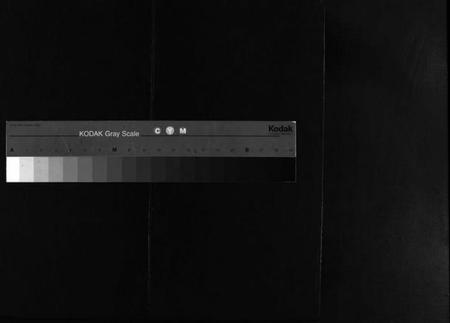 浙江蔡氏族谱-海口蔡氏宗谱 [不分卷].pdf电子版