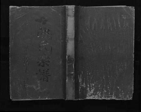 江苏洪氏族谱-洪氏宗谱[不分卷].pdf电子版