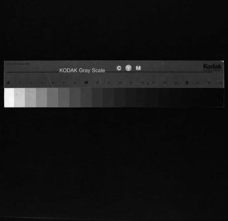 浙江蔡氏族谱-海口蔡氏宗谱 [不分卷].pdf电子版