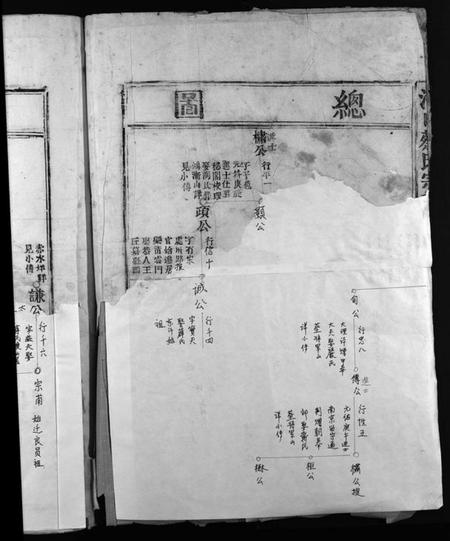 浙江蔡氏族谱-海口蔡氏宗谱 [不分卷].pdf电子版插图4