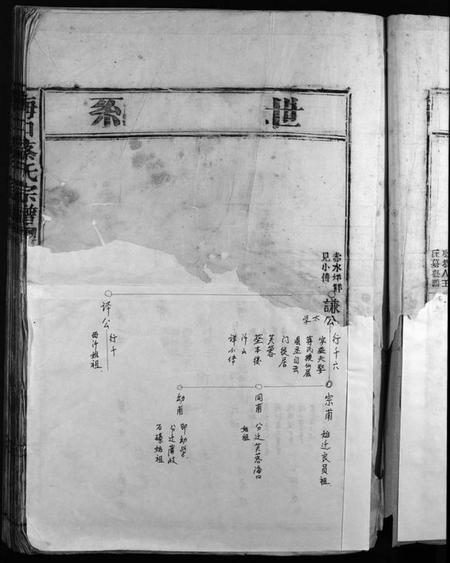 浙江蔡氏族谱-海口蔡氏宗谱 [不分卷].pdf电子版插图5